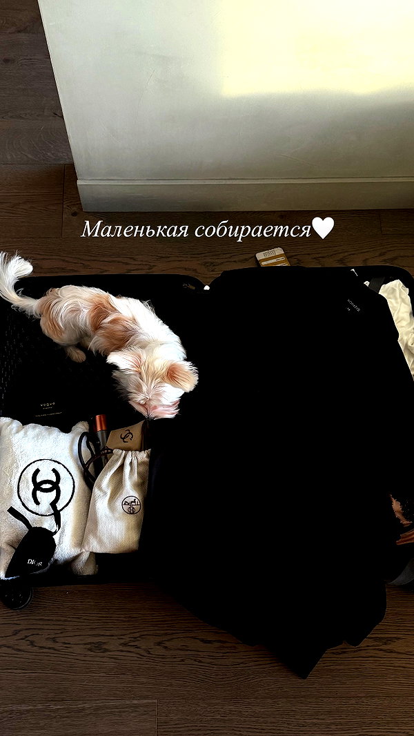 kkwwwv instagram image archive image