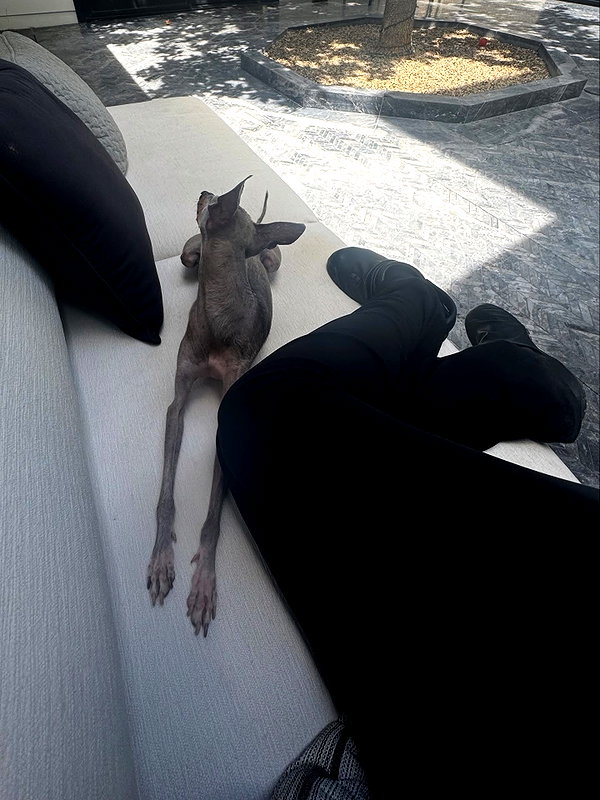 kyliejenner instagram image archive image