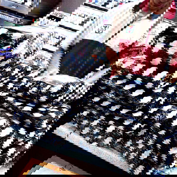 ting851204 ting851204 archive image