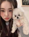 dear.zia Altpins Profile Picture