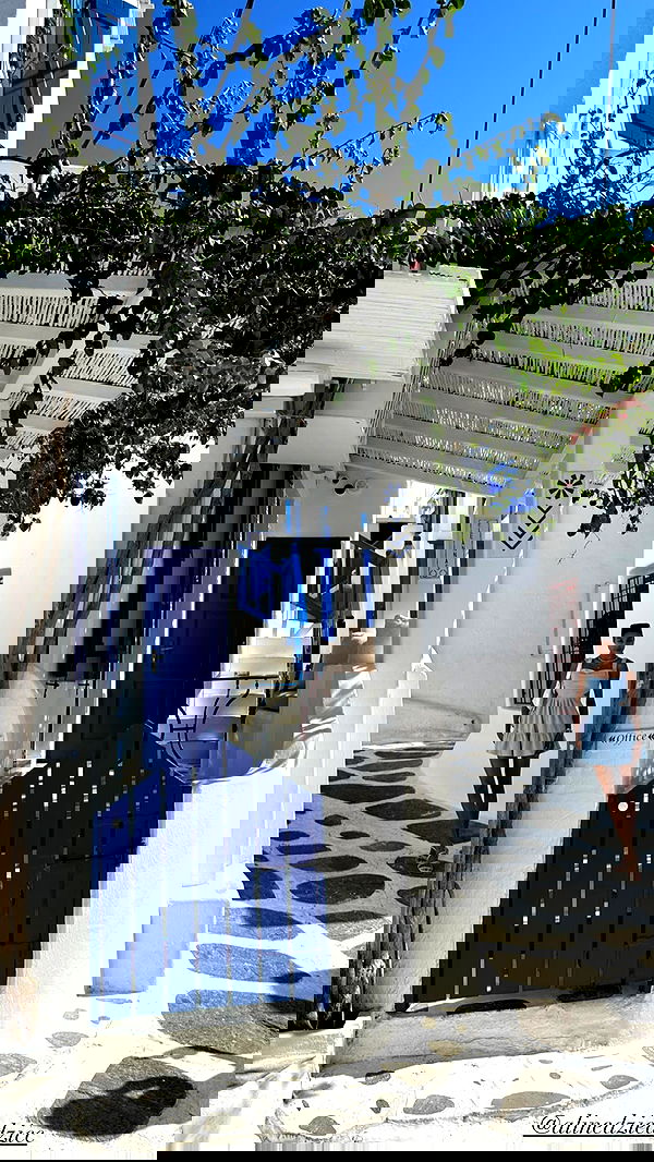 taylor.creeden taylor.creeden archive image