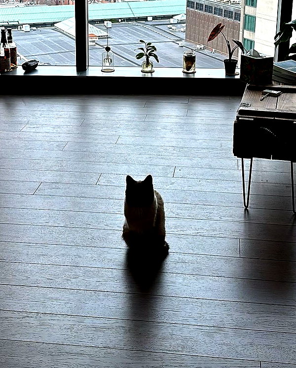 dante_yangpa instagram image archive image
