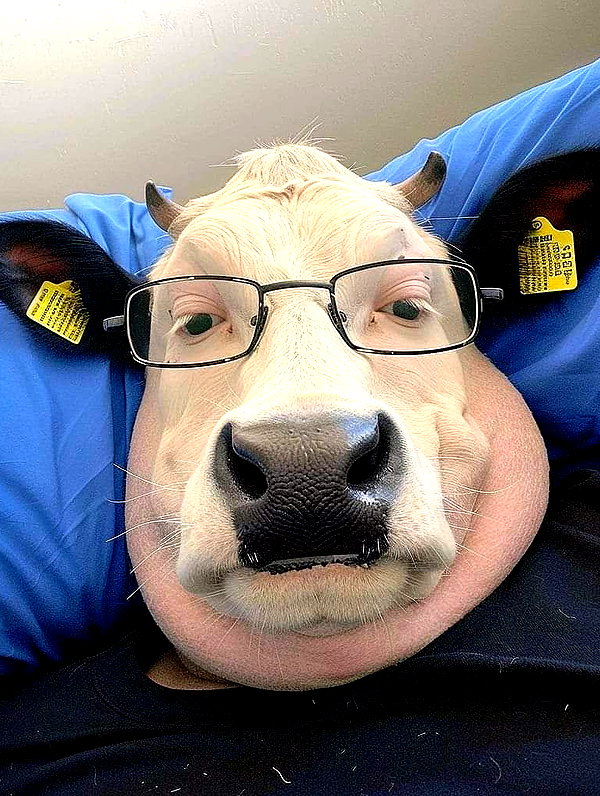 milkiwifey instagram image archive image