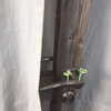 evasela__ Altpins Profile Picture