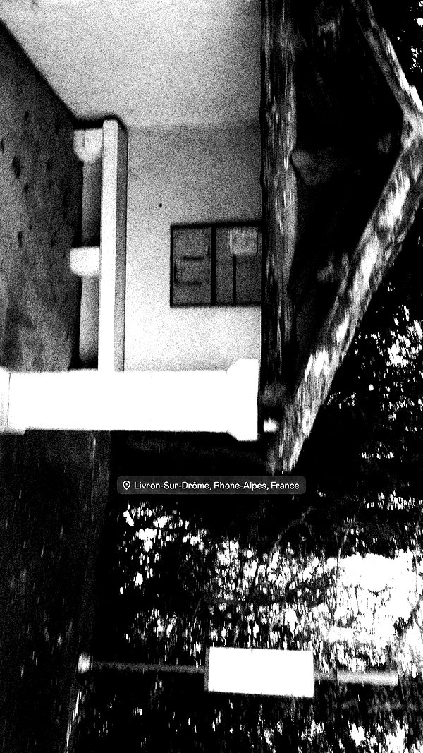 moonliliaght moonliliaght archive image