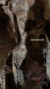 kristti.a Altpins Profile Picture