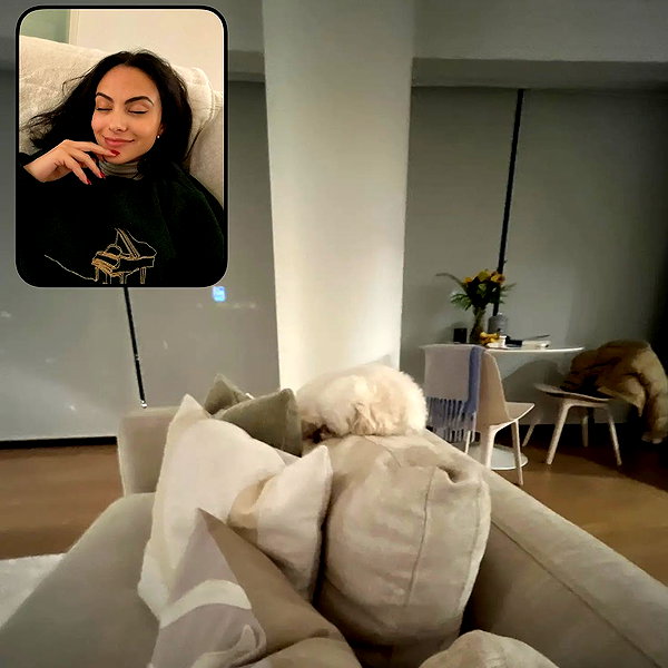 camimendes instagram image archive image