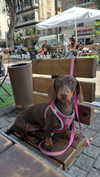 maya.keyy Altpins Profile Picture