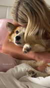 lizrrossi Altpins Profile Picture