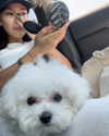 ll.lu1s Altpins Profile Picture