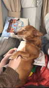 bat.wiings Altpins Profile Picture