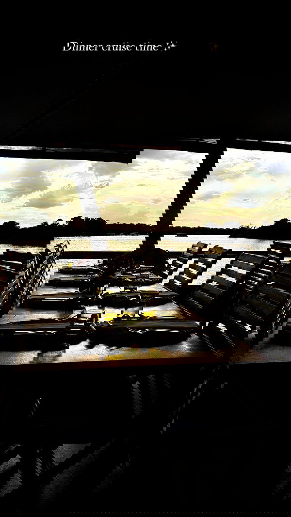 taylor.creeden taylor.creeden archive image