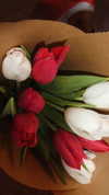 lia.lindner Altpins Profile Picture