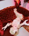 amellliiaa Altpins Profile Picture