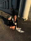 lerkamiill Altpins Profile Picture