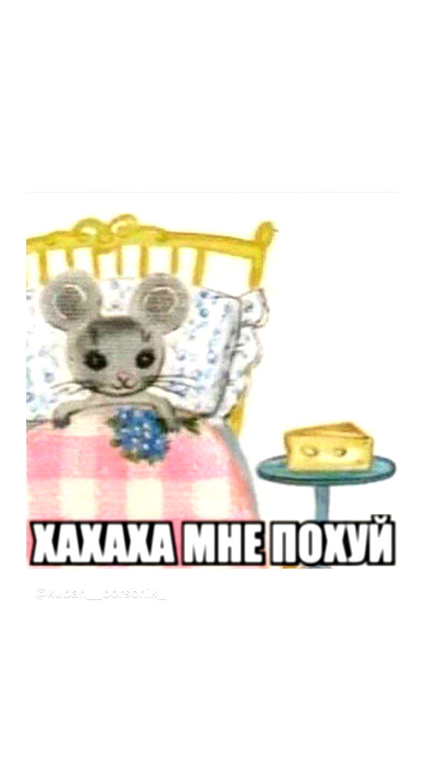 daryanedarya instagram image archive image