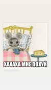 daryanedarya Altpins Profile Picture