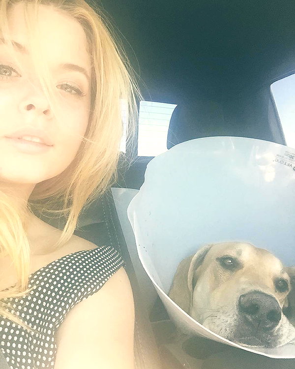 sashapieterse instagram image archive image