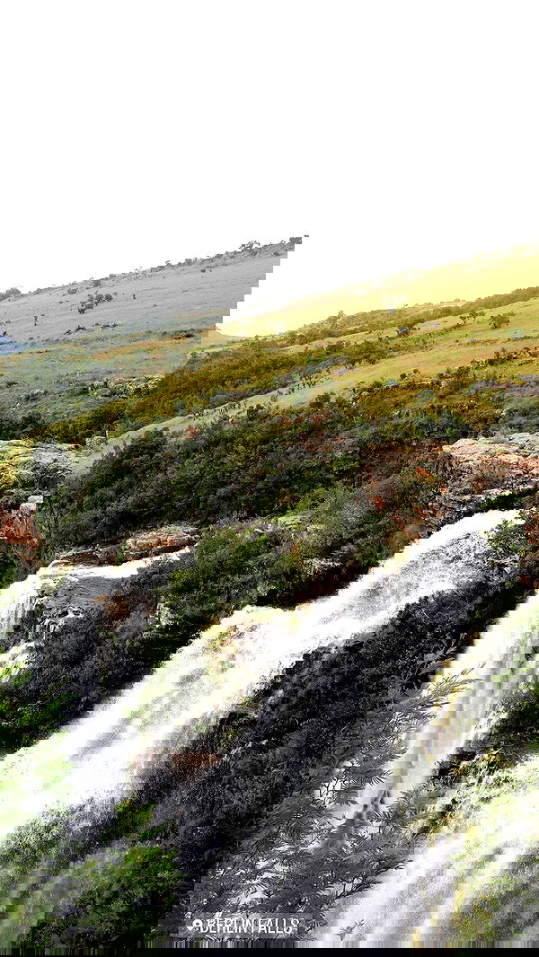 taylor.creeden taylor.creeden archive image