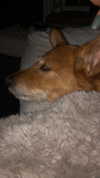 bat.wiings Altpins Profile Picture