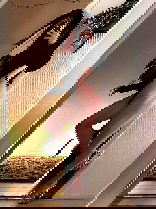 tanukiicos tanukiicos archive image