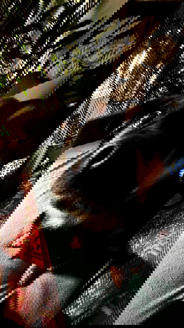 manjolamuriqi manjolamuriqi archive image