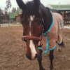 kafelnikova_a Altpins Profile Picture