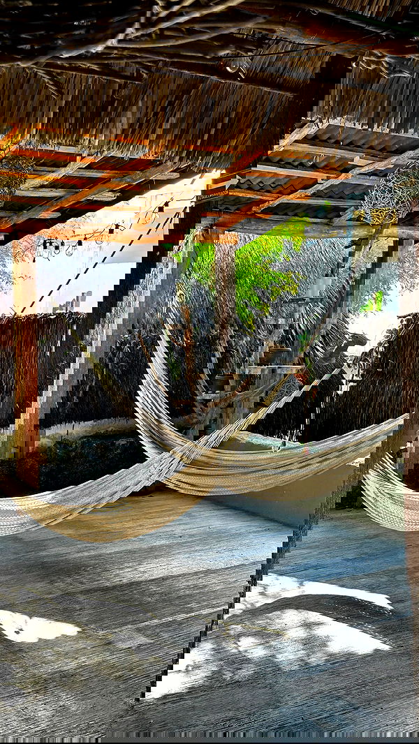 manjolamuriqi manjolamuriqi archive image