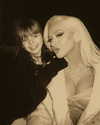 xtina Altpins Profile Picture