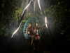 daisy_r_19 Altpins Profile Picture
