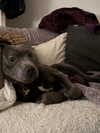 _m_a_y_c_ Altpins Profile Picture