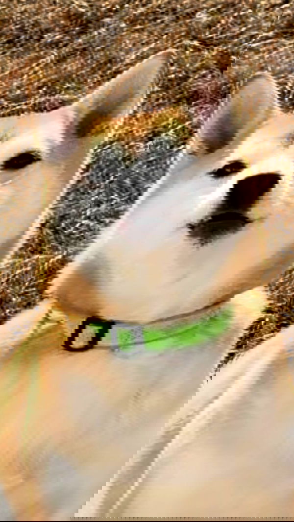 zommmbri zommmbri archive image