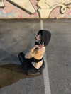 strawberryshanz Altpins Profile Picture