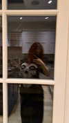 777pb_ Altpins Profile Picture