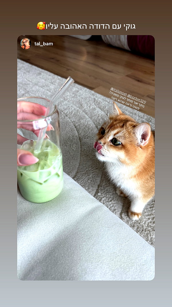 itsilanosh instagram image archive image