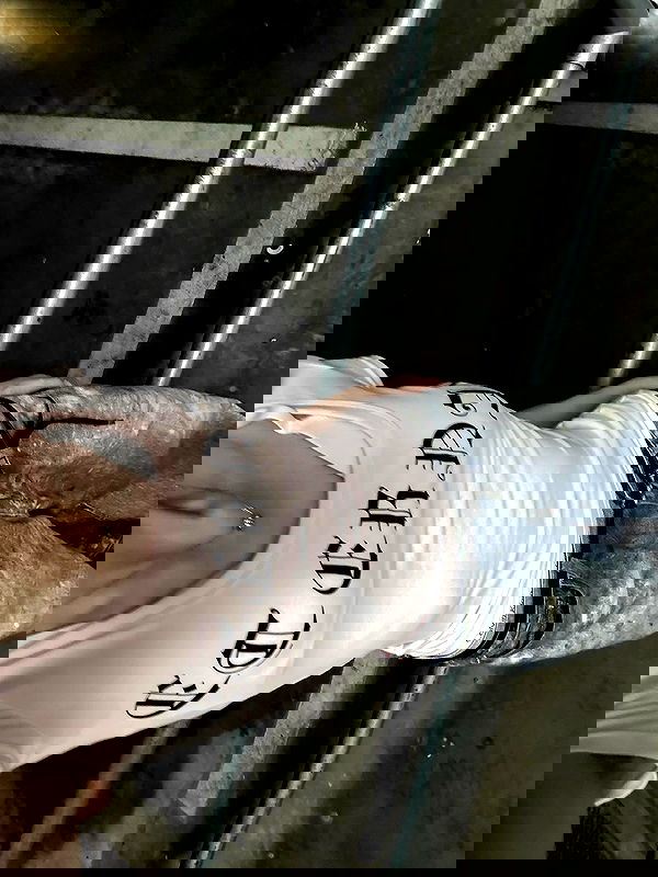 kun_kuno.o kun_kuno.o archive image