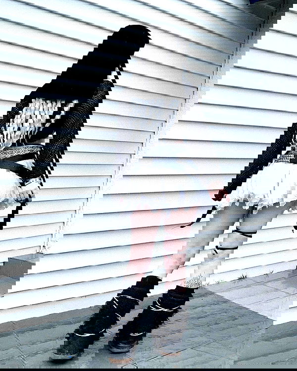 naia_gg naia_gg archive image