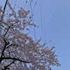 yuna_1_27 Altpins Profile Picture