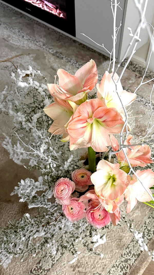 avestanova instagram image archive image