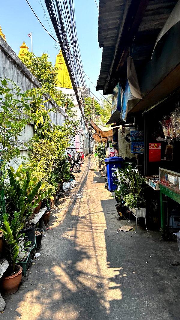 devalluna instagram image archive image