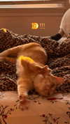 rachelchaleff Altpins Profile Picture