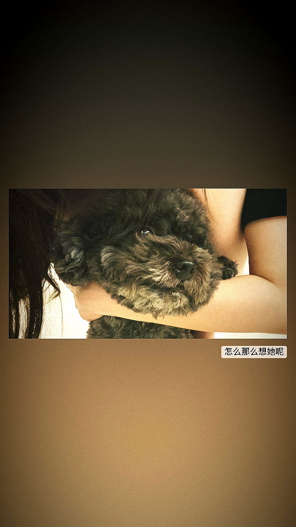 Archived image from @arete.song on Instagram