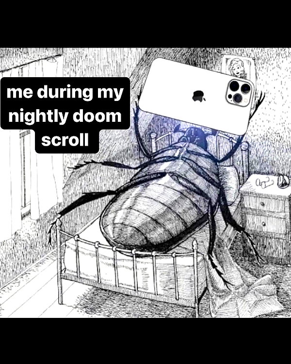 leanbeefpatty instagram image archive image