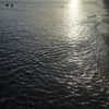 avital_1010.2003 Altpins Profile Picture