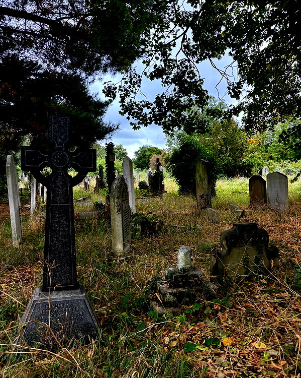 mollieruck instagram image archive image
