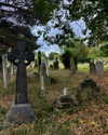 mollieruck Altpins Profile Picture