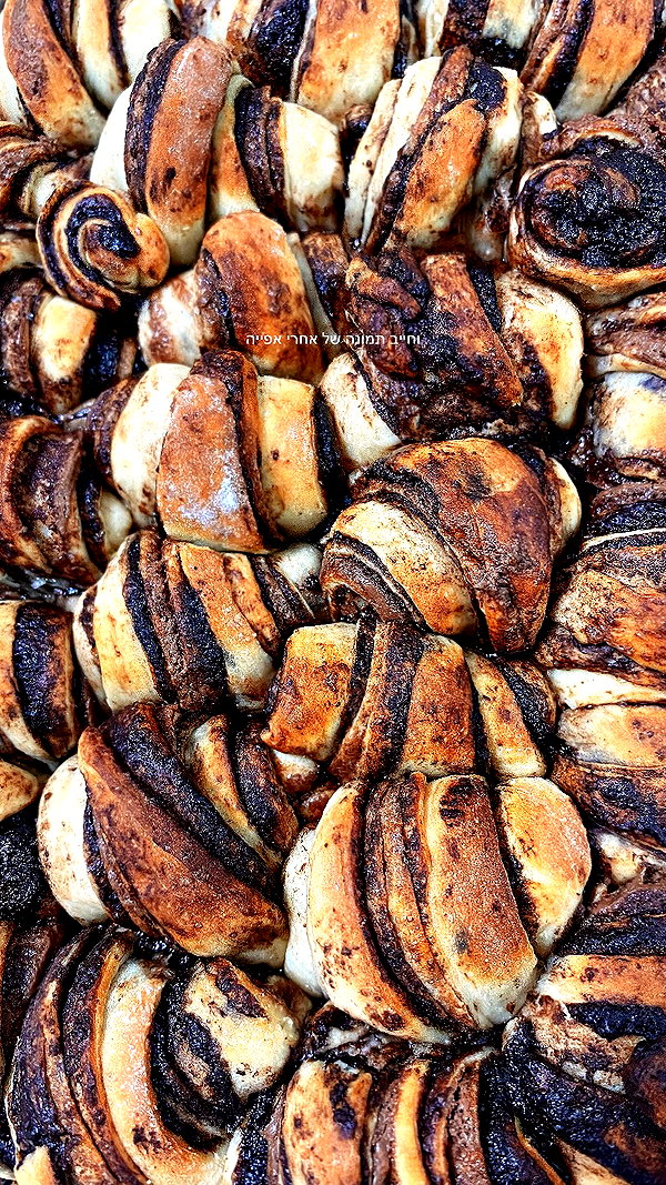shanidahan7 instagram image archive image