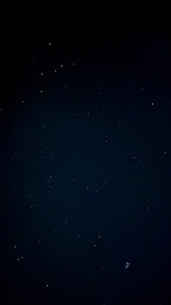 alexsndranowak instagram image archive image