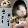 cyber.st4rz Altpins Profile Picture
