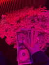 curlyfriesjazz Altpins Profile Picture